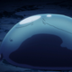 Rimiru’s expression was the same as mine during the final episode.